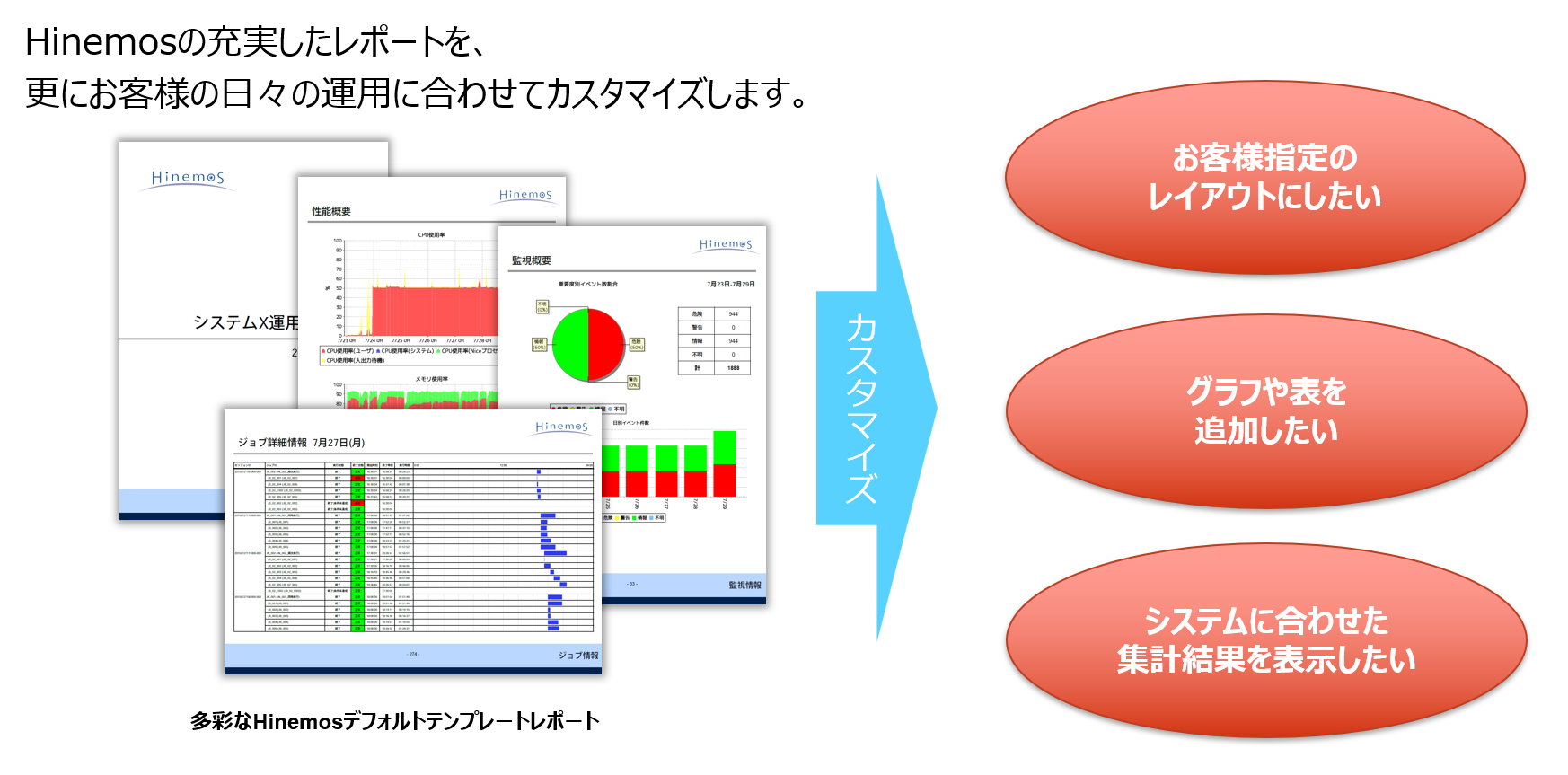 レポートカスタマイズサービス図