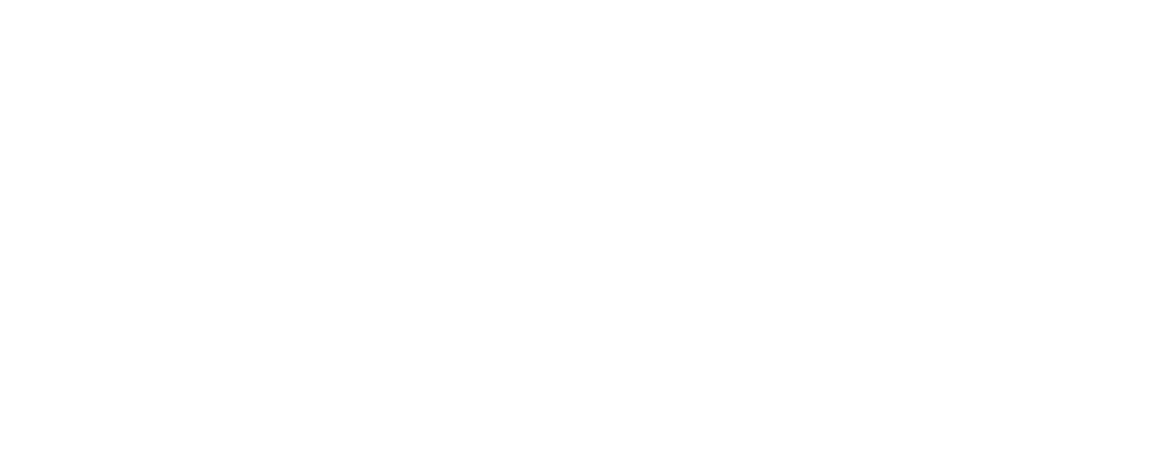 Hinemos 20th ANNIVERSARY