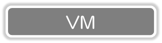 VM