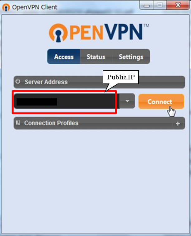 OpenVPN Client起動時の画面